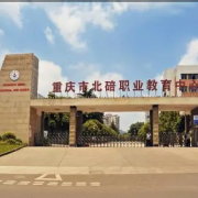 重慶北碚幼師職業教育中心技術服務解析 培養未來智慧幼教的多維賦能